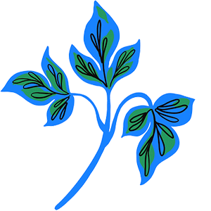 flor-10
