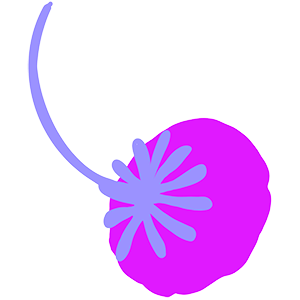 flor-6